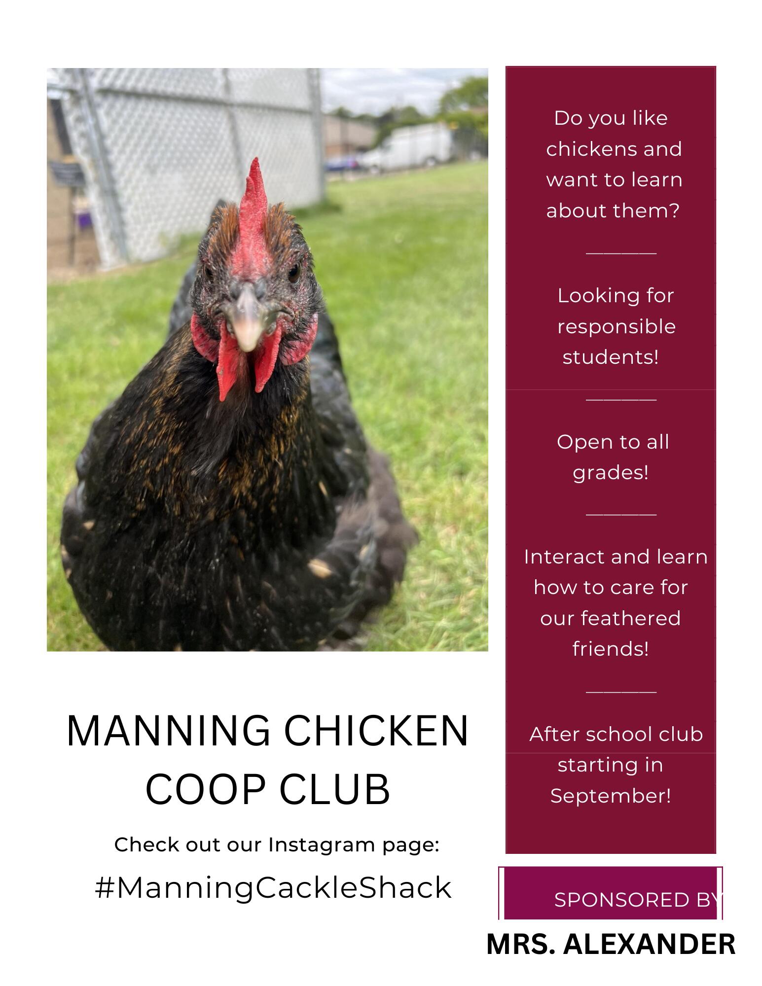 Do you like chickens and want to learn about them?